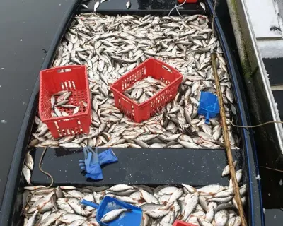 131072745_1318772318502528_5668152458668511818_n-jpg
